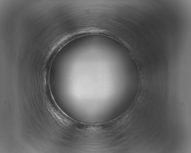 X0000077330350200610200920