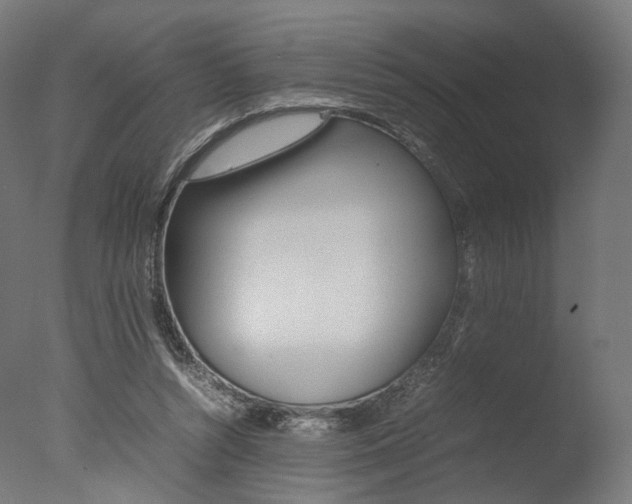 X0000077330352200610200921