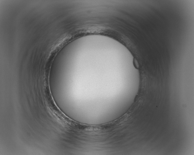 X0000077330354200610200921