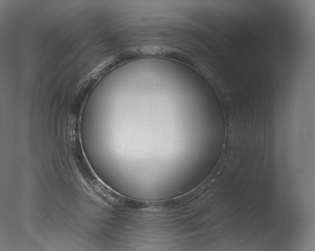 X0000077330356200610200921