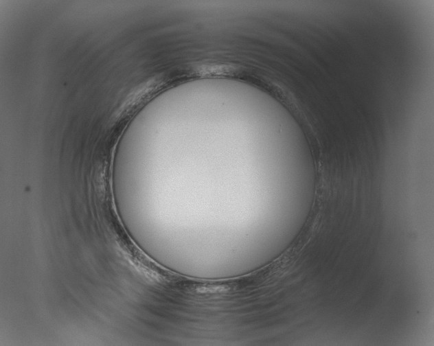 X0000077330357200610200921
