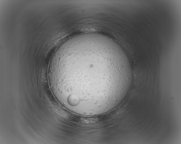 X0000077330359200610200921