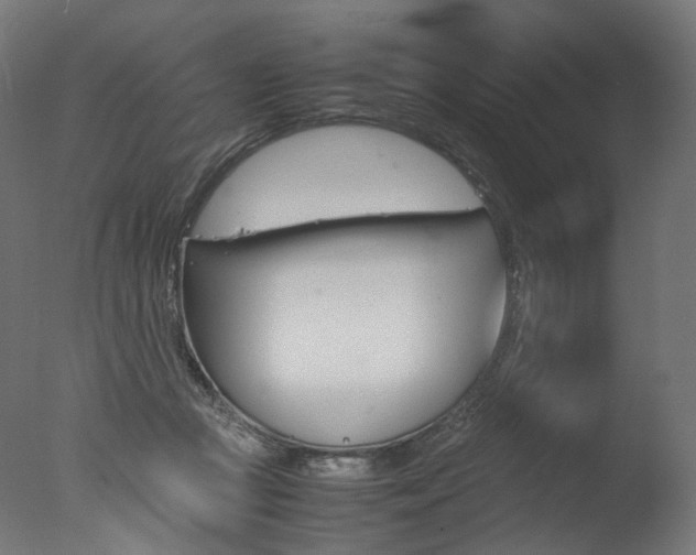 X0000077330361200610200921