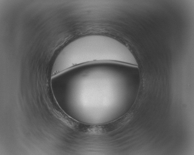 X0000077330362200610200921