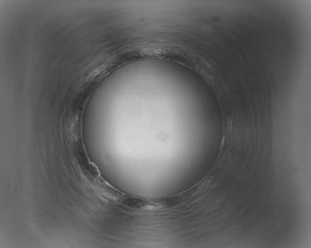 X0000077330364200610200921