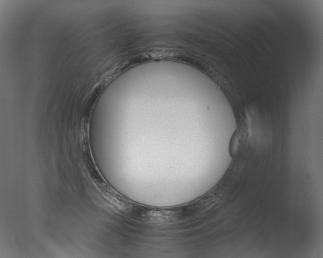 X0000077330367200610200921