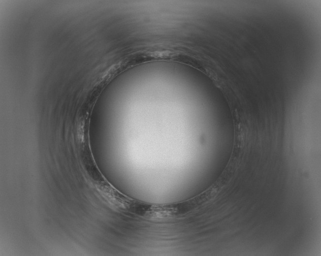 X0000077330368200610200921