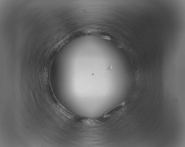 X0000077330372200610200921