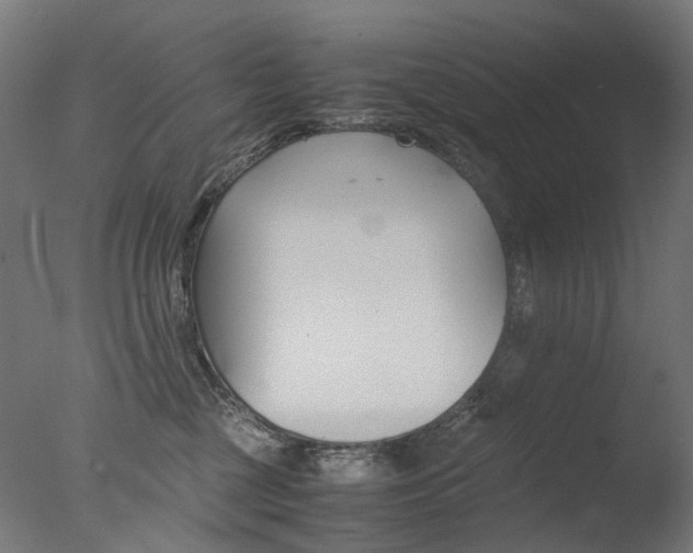 X0000077330377200610200921