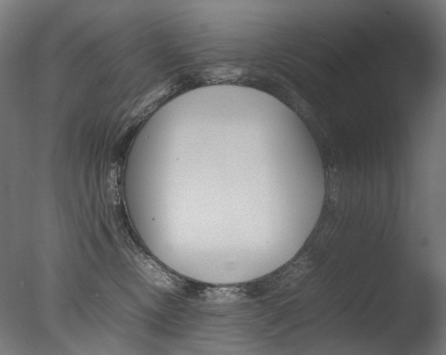 X0000077330378200610200921