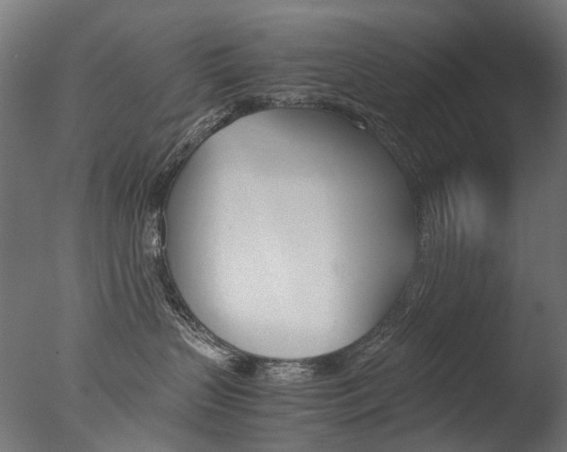 X0000077330383200610200921