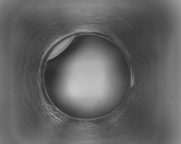 X0000077330387200610200920