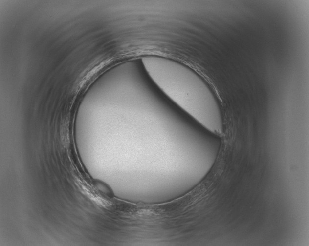 X0000077330390200610200920
