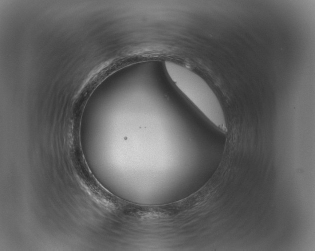 X0000077330400200610200920