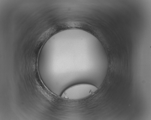 X0000077330402200610200920