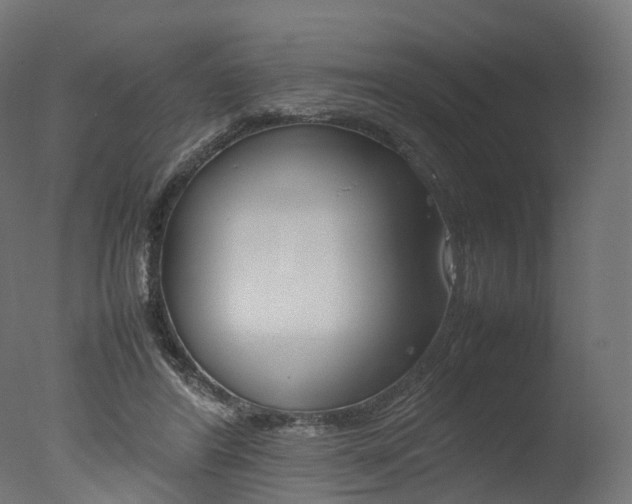 X0000077330404200610200920