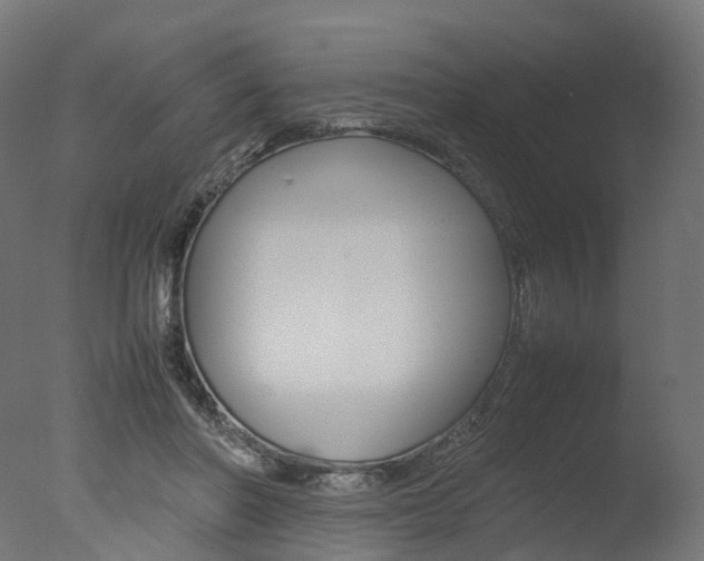 X0000077330406200610200920