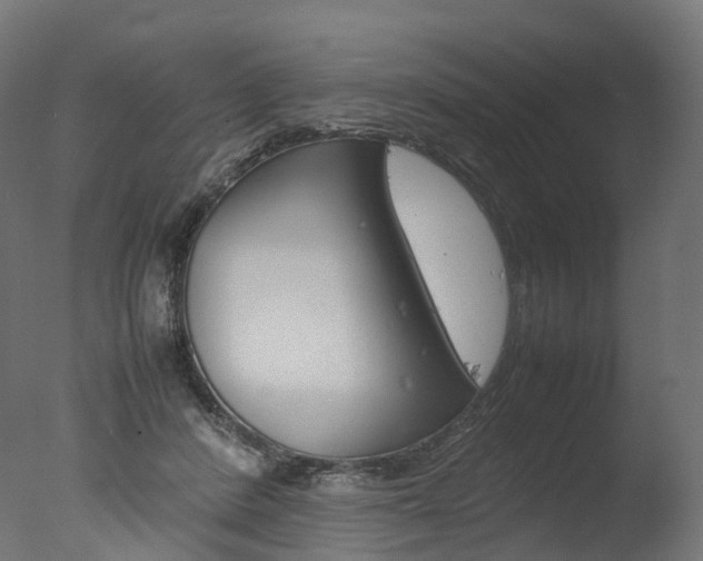 X0000077330408200610200920