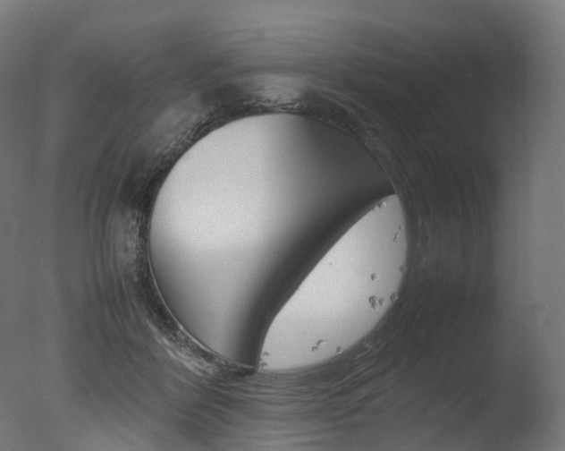 X0000077330412200610200920