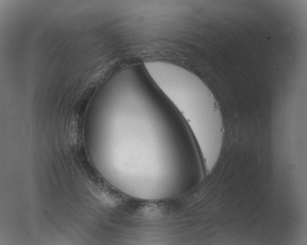 X0000077330416200610200920