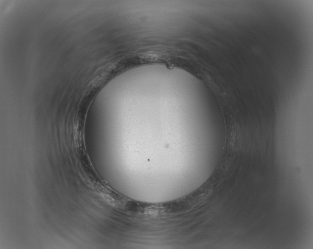 X0000077330420200610200920