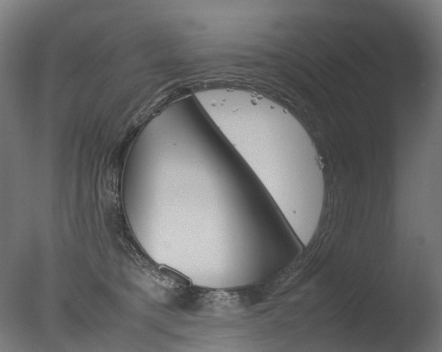 X0000077330421200610200920