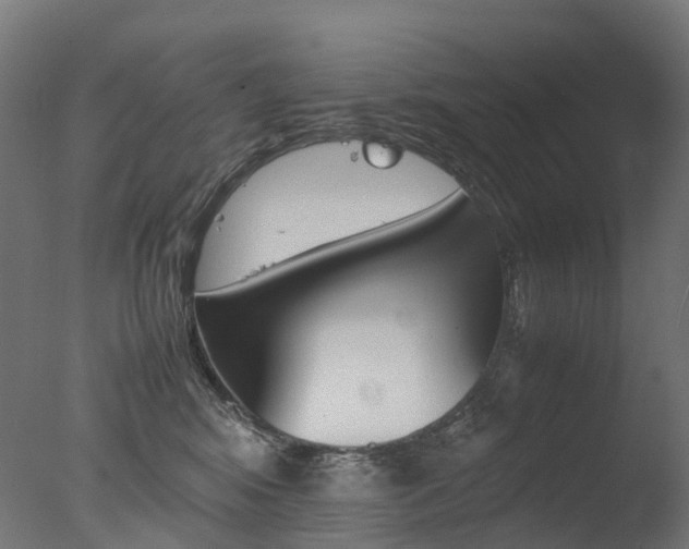 X0000077330424200610200920