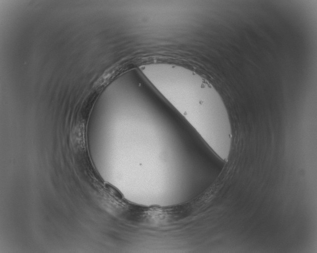 X0000077330425200610200920