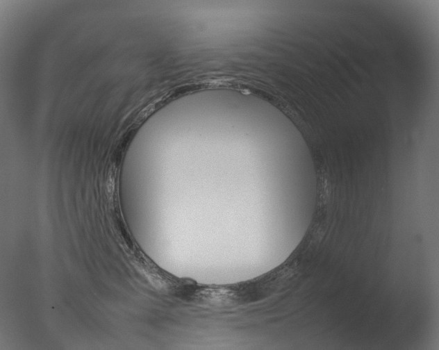 X0000077330427200610200920