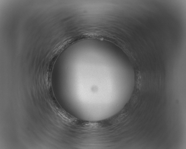 X0000077330428200610200920