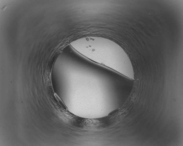 X0000077330429200610200919