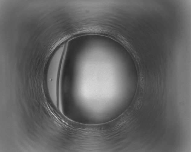 X0000077330434200610200919