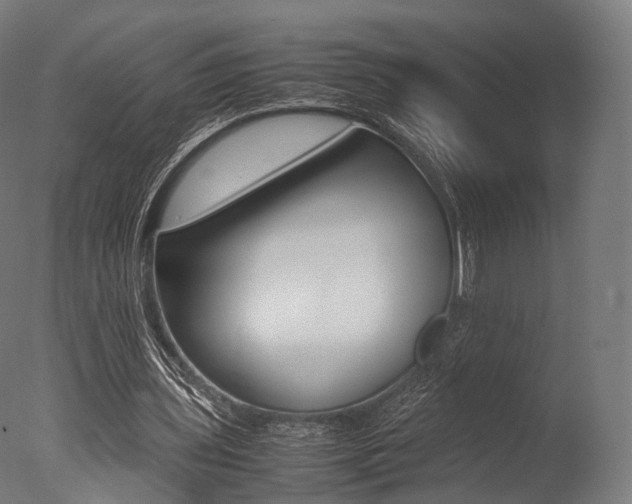 X0000077330435200610200919
