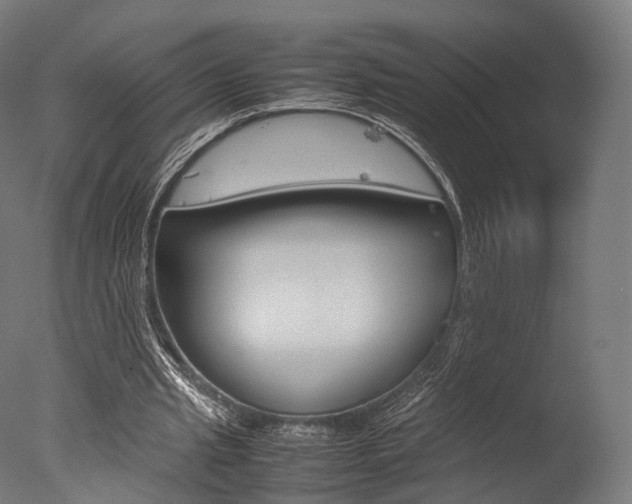 X0000077330437200610200919