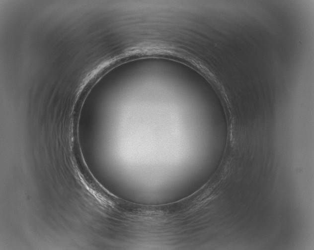 X0000077330438200610200919
