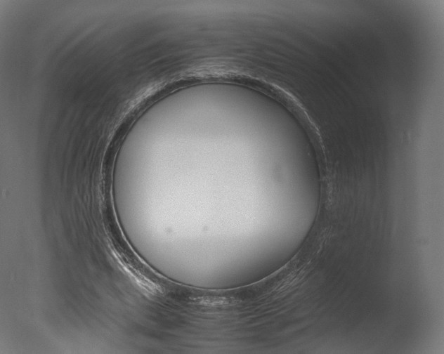 X0000077330439200610200919