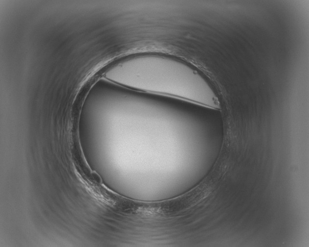 X0000077330440200610200919