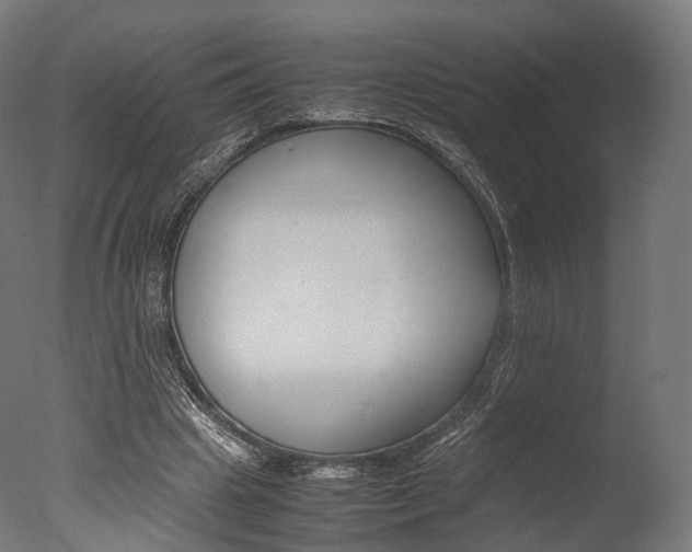 X0000077330441200610200919