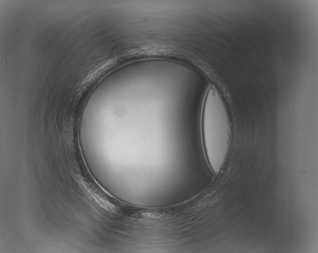 X0000077330442200610200919