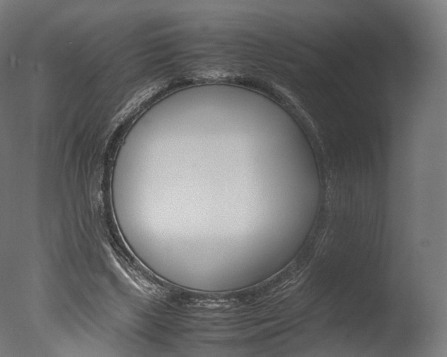 X0000077330443200610200919