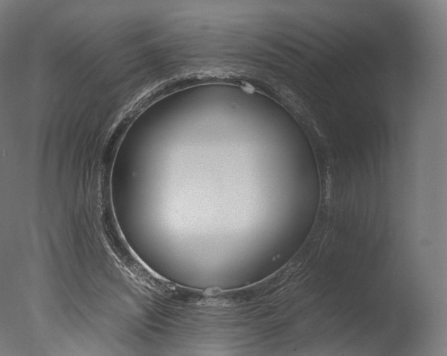 X0000077330444200610200919