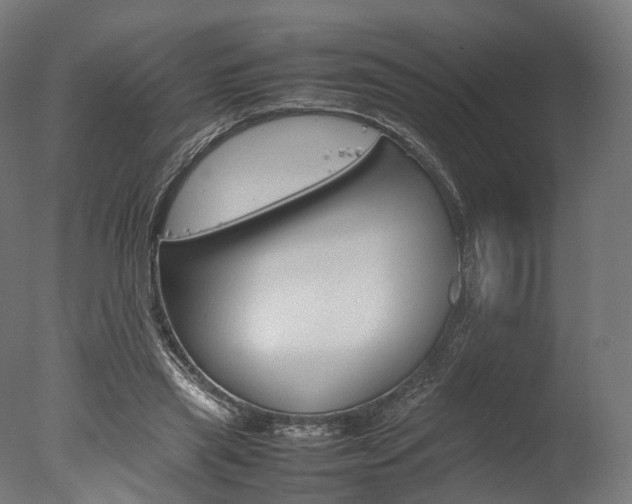 X0000077330445200610200919