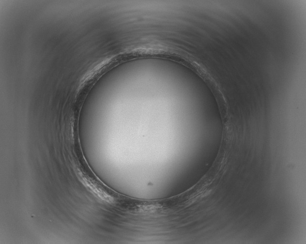X0000077330446200610200919