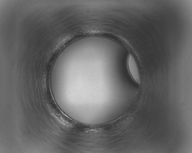 X0000077330447200610200919