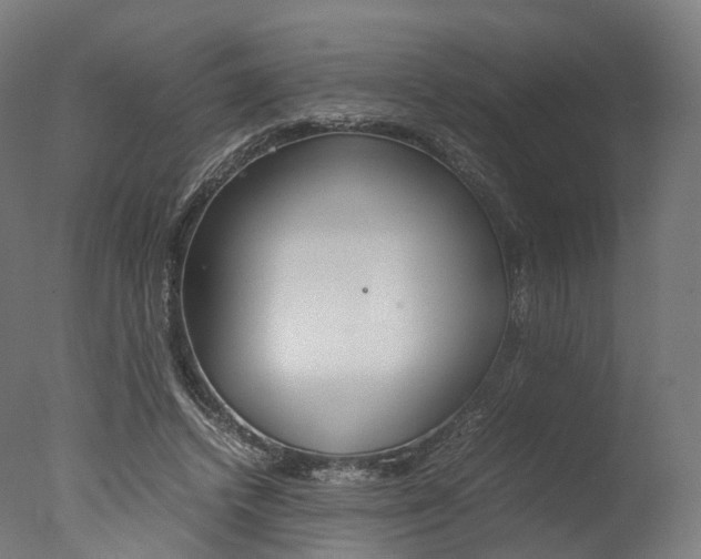 X0000077330448200610200919