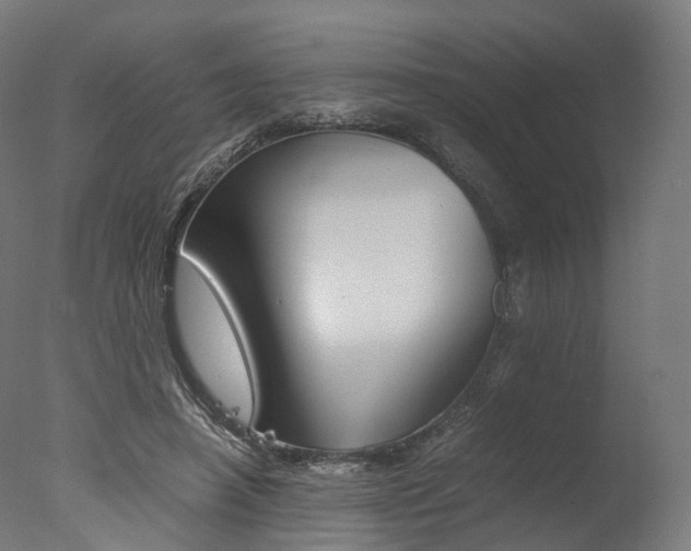 X0000077330450200610200919