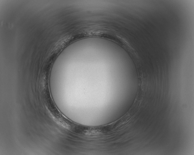 X0000077330451200610200919