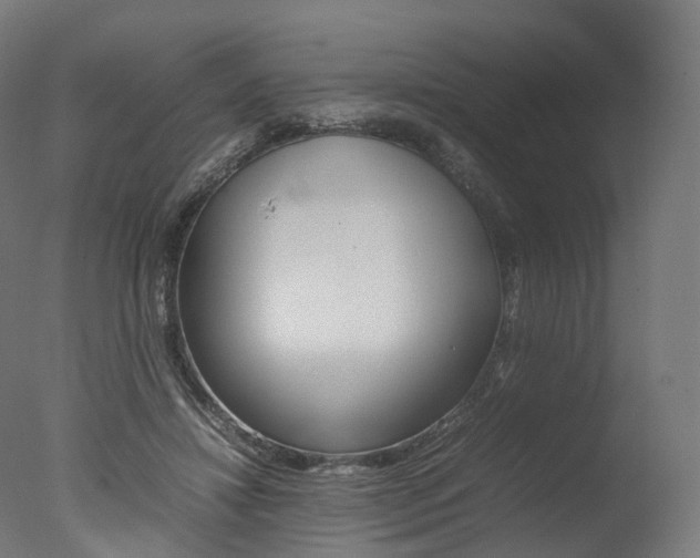 X0000077330452200610200919