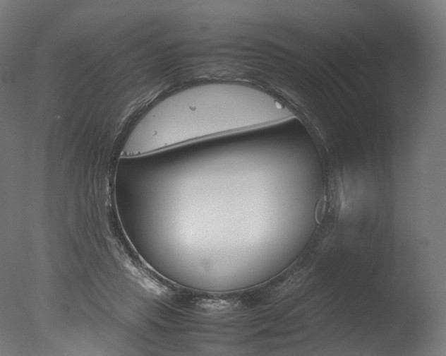 X0000077330453200610200919