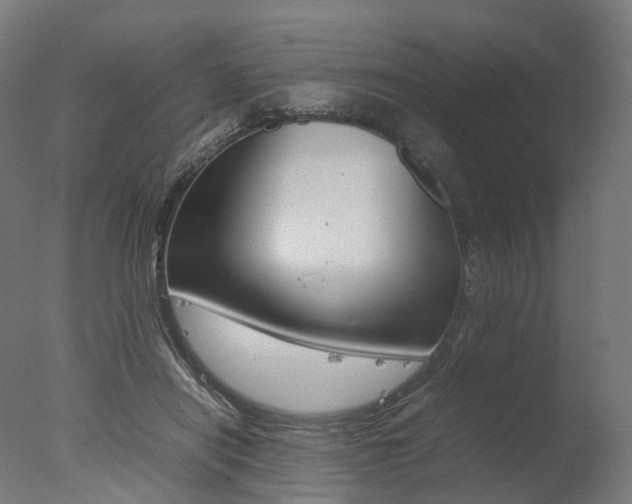X0000077330454200610200919